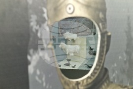 Стара Загора - Европейска нощ на музеите