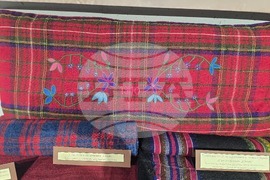 Петрич - Нощ на музеите