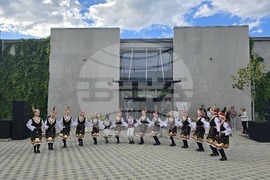 Петрич - Нощ на музеите