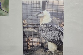 Плевен - Нощ в музеите - РИМ - Панорама  - Арт център