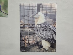 Плевен - Нощ в музеите - РИМ - Панорама  - Арт център