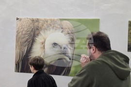 Плевен - Нощ в музеите - РИМ - Панорама  - Арт център