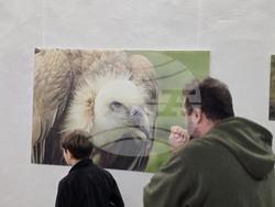 Плевен - Нощ в музеите - РИМ - Панорама  - Арт център