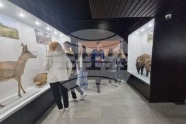 Бургас - Нощ на музеите