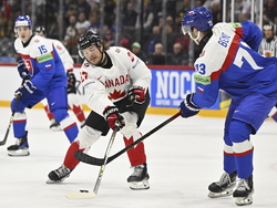 Sweden Hockey Worlds