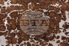 Кърджали - музей - епископски одежди