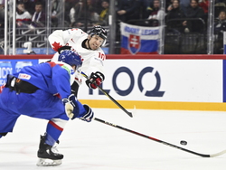 Sweden Hockey Worlds
