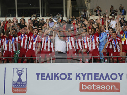 Greece Soccer Cup Final