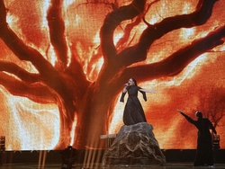 Switzerland Eurovision Song Contest