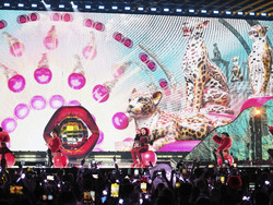 Switzerland Eurovision Song Contest