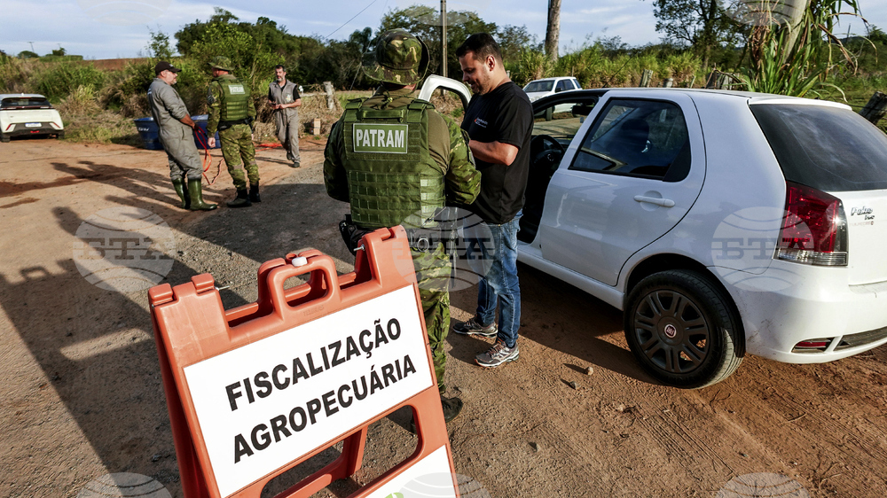 Brazil Bird Flu