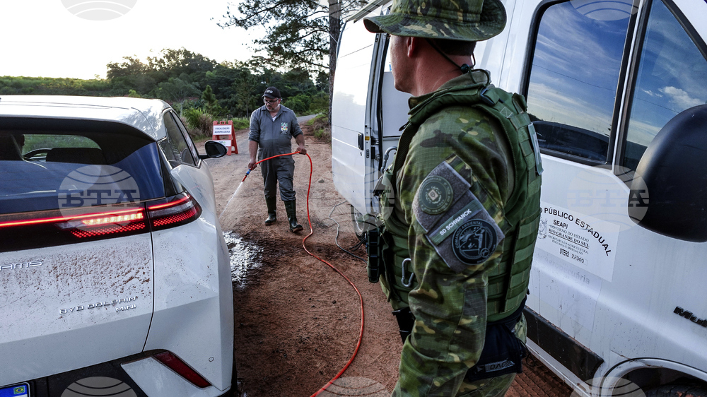 Brazil Bird Flu