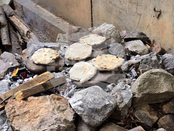 Враца - „Европейска нощ на музеите“