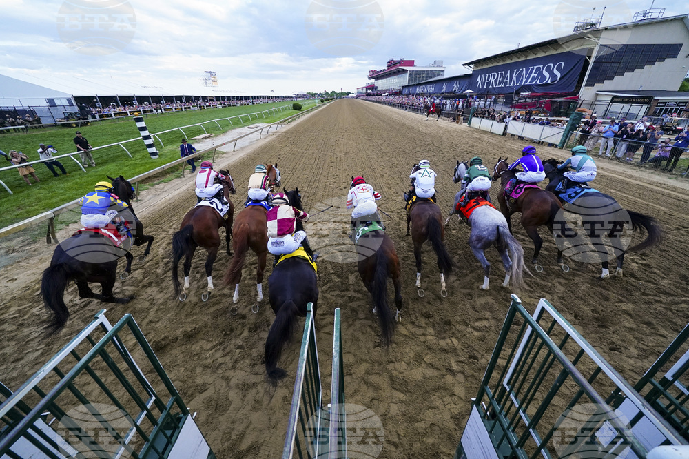 APTOPIX Preakness Stakes Horse Racing