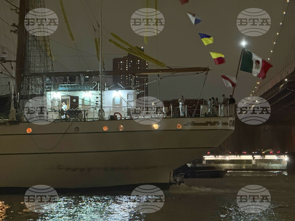 Ship Hits Brooklyn Bridge