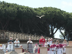 Vatican Pope