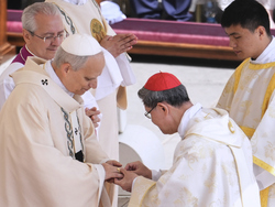 Vatican Pope