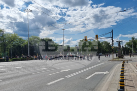 Протест в подкрепа на българския лев