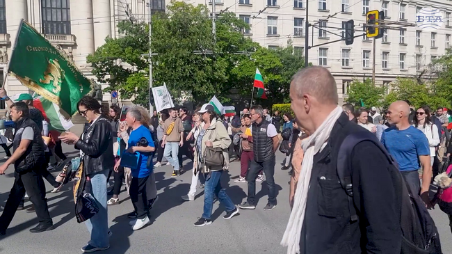 Протестиращи в подкрепа на българския лев блокираха за час Орлов мост и шестваха до Министерския съвет