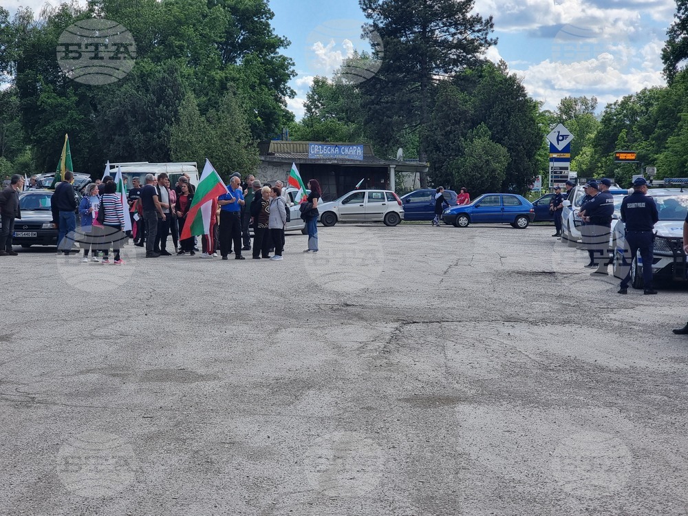 Видин - протест - международен път - българският лев