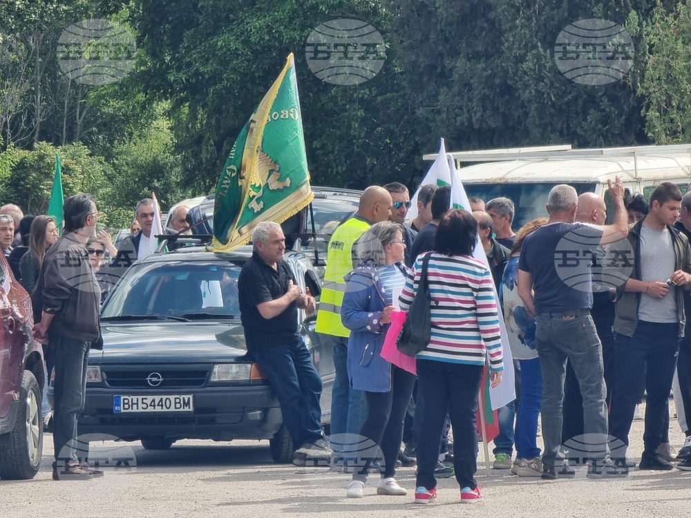 Видин - протест - международен път - българският лев