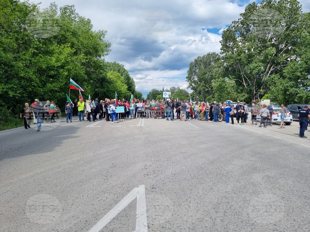 Видин - протест - международен път - българският лев