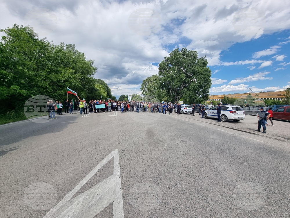 Видин - протест - международен път - българският лев