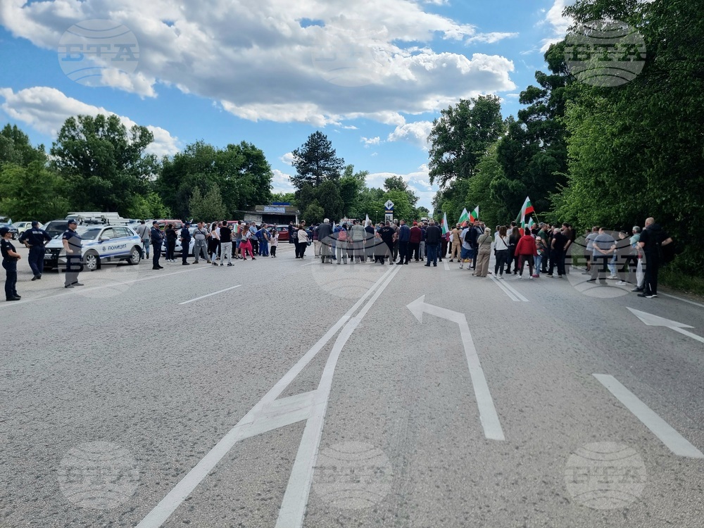 Видин - протест - международен път - българският лев