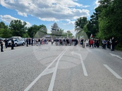 Видин - протест - международен път - българският лев