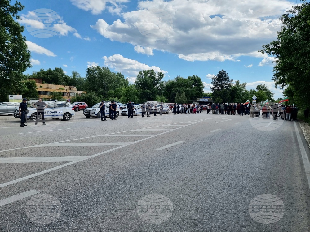 Видин - протест - международен път - българският лев
