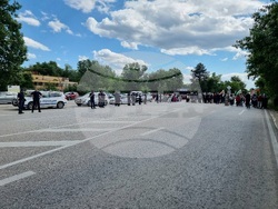 Видин - протест - международен път - българският лев