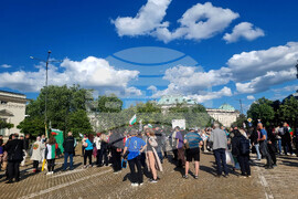 Протест в подкрепа на българския лев