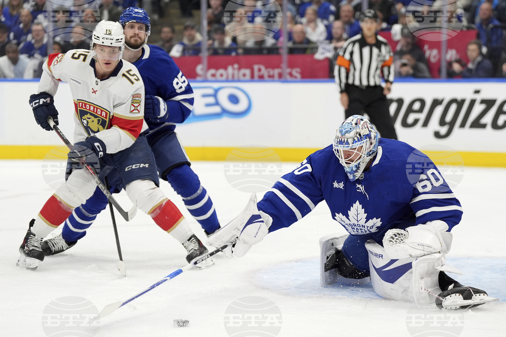 Panthers Maple Leafs Hockey
