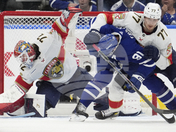 Panthers Maple Leafs Hockey