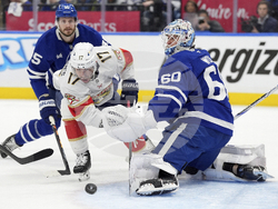 Panthers Maple Leafs Hockey