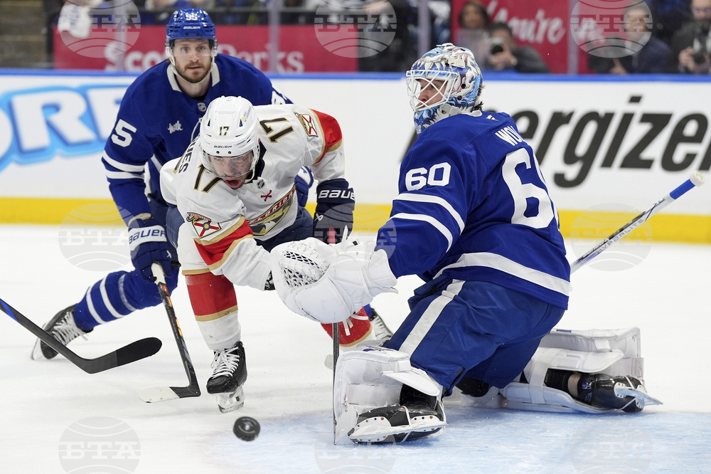 Panthers Maple Leafs Hockey