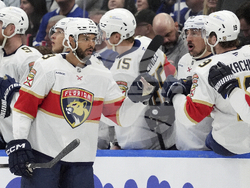 Panthers Maple Leafs Hockey