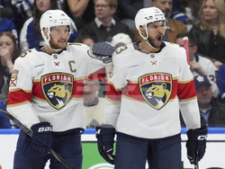 Panthers Maple Leafs Hockey