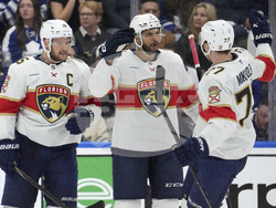 Panthers Maple Leafs Hockey