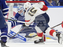 Panthers Maple Leafs Hockey