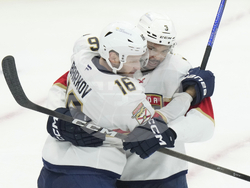 Panthers Maple Leafs Hockey