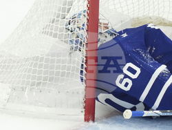 Panthers Maple Leafs Hockey