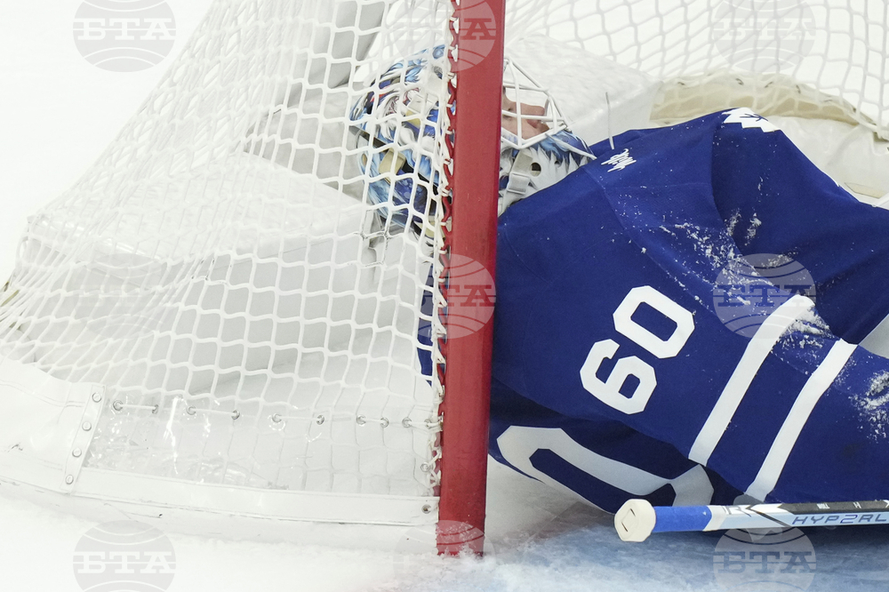 Panthers Maple Leafs Hockey