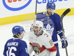 Panthers Maple Leafs Hockey