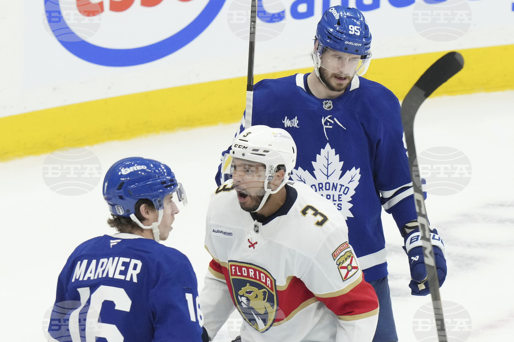 Panthers Maple Leafs Hockey
