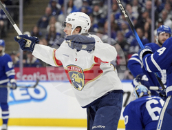 Panthers Maple Leafs Hockey