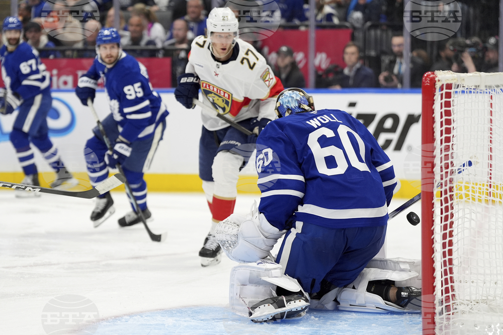 Panthers Maple Leafs Hockey