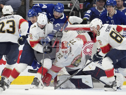 Panthers Maple Leafs Hockey