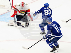 Panthers Maple Leafs Hockey