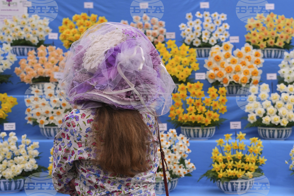 Britain Chelsea Flower Show